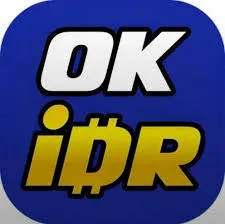 OKIDR - Pertarungan Epik di Dunia Virtual